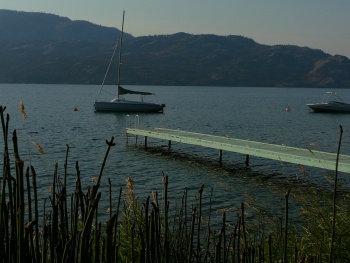 Serene Okanagan Lake View from front patio.